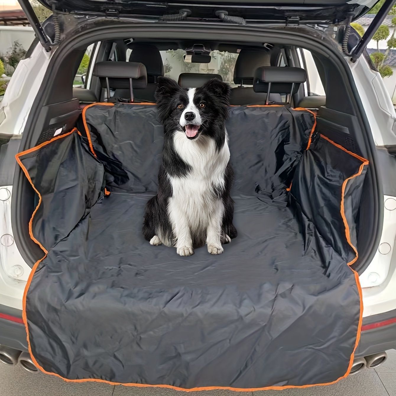 Black and white dog sitting on car trunk liner, quality pet accessory for sps street style